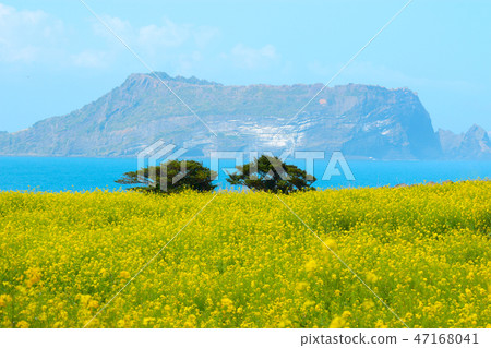 Corruption, spring, sea, Corruption, spring, sea, 47168041