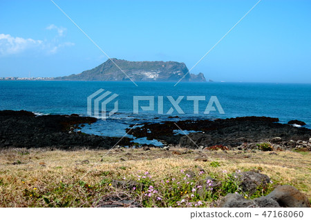 腐敗，春天，海， 47168060