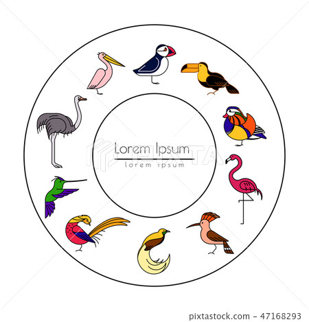 Birds are different species Birds are different species 47168293