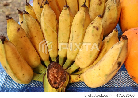 Banana at the market 47168566
