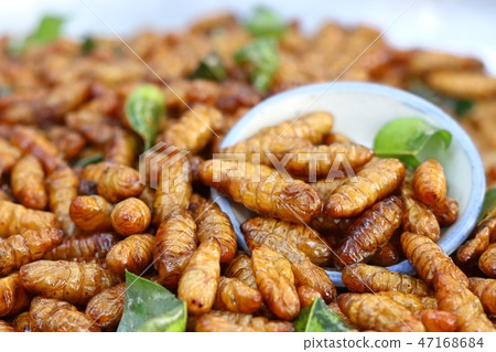 Fried insect at street food 47168684