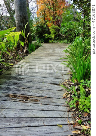 Boarded alley material background 47168871