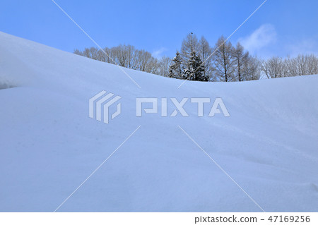 清雪景觀·充足的雪和森林福島縣忠忠町 清雪景觀·充足的雪和森林福島縣忠忠町 47169256