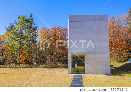[山西縣阪神]秋天藝術博物館藝術村燈 47171342