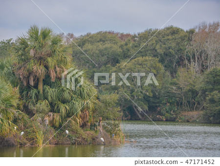 Shoreline Kathryn Abbey Hanna Park, Jacksonville  47171452