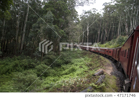 Train Sri Lanka Train Sri Lanka 47171746