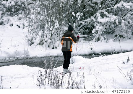Cross country skiing in snowy winter nature 47172139