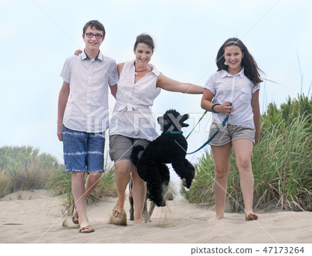 family with dogs family with dogs 47173264