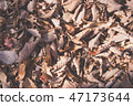 Falling leaf carpet 4 Falling leaf carpet 4 47173644
