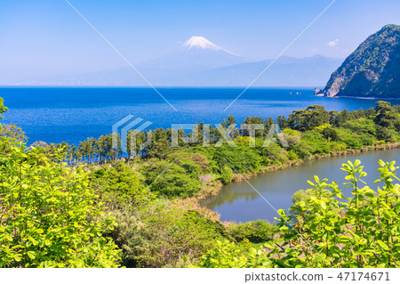 （靜岡縣）新鮮的綠色西伊豆Ida富士山海上 47174671