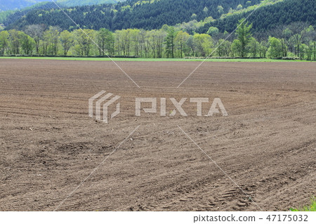 春天，播種前的田地，大片農田，土壤 47175032