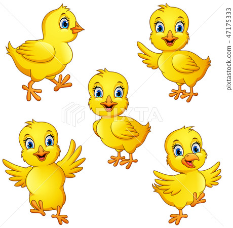 Cartoon little chicks collection set - Stock Illustration [47175333 ...