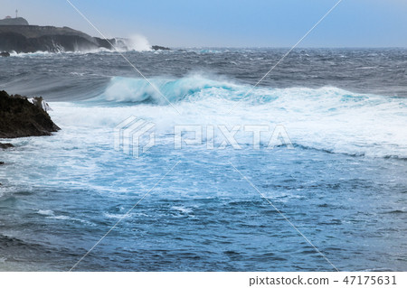 丹娜海灘 47175631