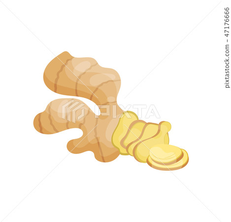 Raw ginger root with slices. Natural food. Organic product. Healthy nutrition. Cooking ingredient 47176666