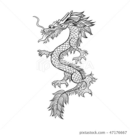 Chinese dragon hand drawn contour illustration 47176667