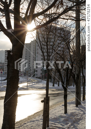 Glowing road surface 47178254