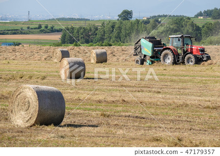 在農田上創建牧場卷 47179357