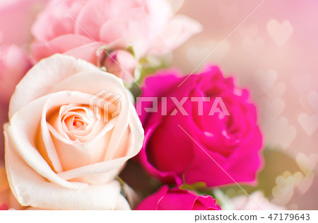 Pink and purple roses with hearts background. Valentine's day Pink and purple roses with hearts background. Valentine's day 47179643