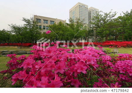 A garden A garden 47179842