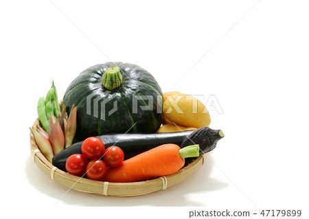各種蔬菜白色背景 各種蔬菜白色背景 47179899