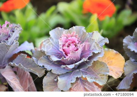 Flower button 47180094