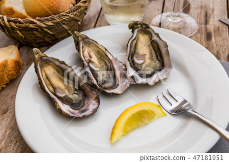 Fresh oysters with lemon, bread and butter Fresh oysters with lemon, bread and butter 47181951