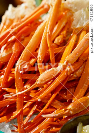 Red Snow crab 47181996