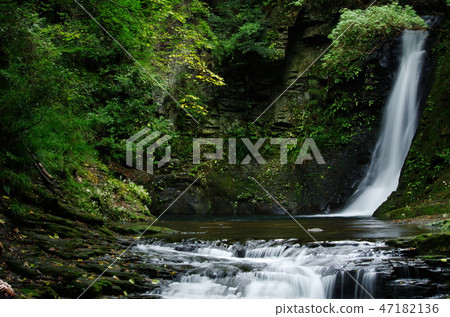 Red-eye Shimattaki Falls Biwa Falls 47182136
