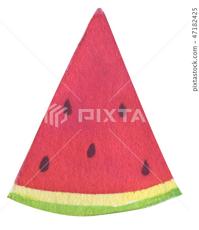 Watercolor hand drawn watermelon 47182425