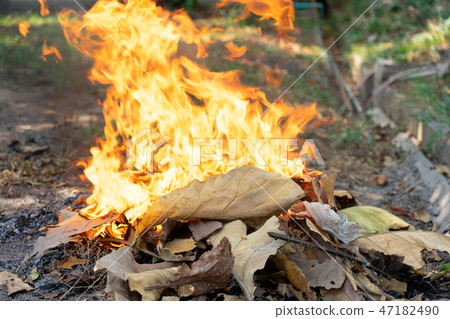 Flames from burning waste, dry leaves cause smoke 47182490