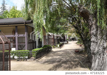 Zoo and moth 47183225