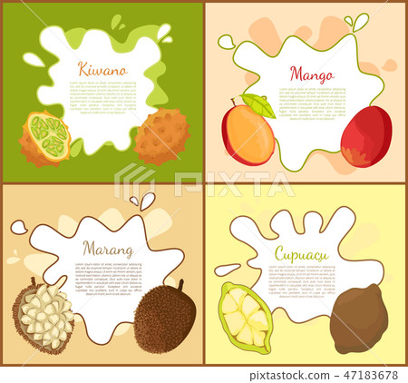 Kiwano and Mango Posters Set Vector Illustration 47183678