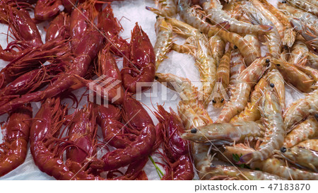 Pink fresh frozen shrimps with ice in a supermarket or fish shop. Uncooked seafood close up 47183870