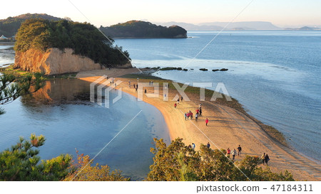 Shodoshima Angel Road 2 47184311