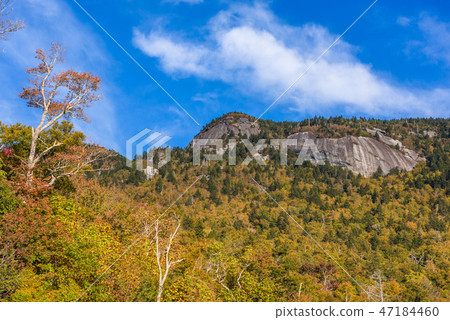 Grandfather Mountain 47184460