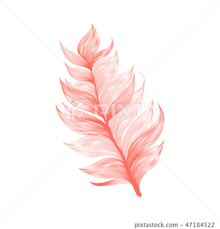 Realistic Vector Isolated Flying Feather 47184522