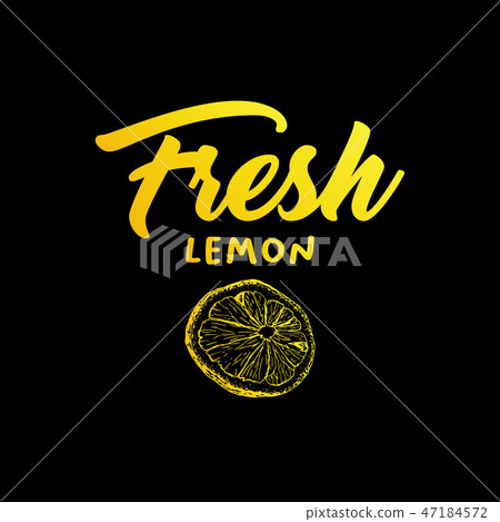 Lemon fruit vector color illustration 47184572