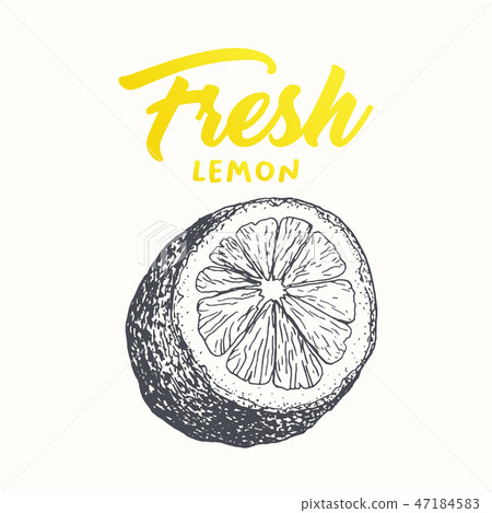 Fresh lemon vector banner design 47184583
