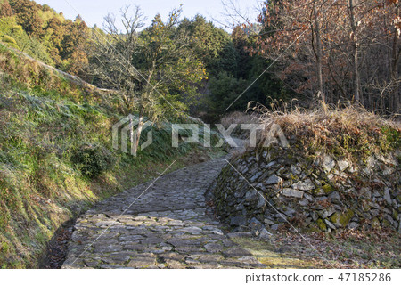 H歸來 H歸來 47185286