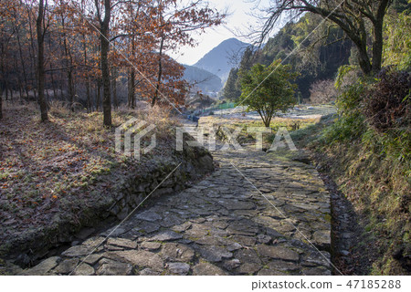 H歸來 H歸來 47185288