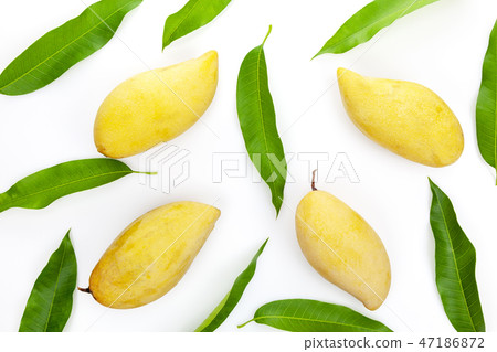 Mango with leaves on a white background Mango with leaves on a white background 47186872