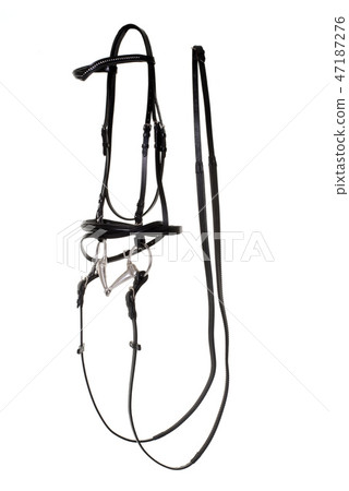 bridle for horse 47187276