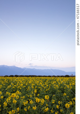 Shiga Prefecture Moriyama Daiichi Nagisa Park - Stock