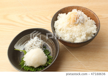 Shurabashi Shurabashi 47188636