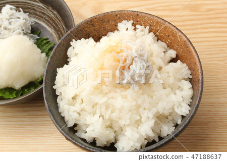 Shurabashi Shurabashi 47188637