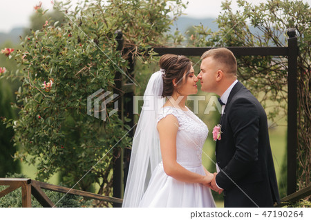 Wedding ceremony outside. Just married. Background of mountains Wedding ceremony outside. Just married. Background of mountains 47190264