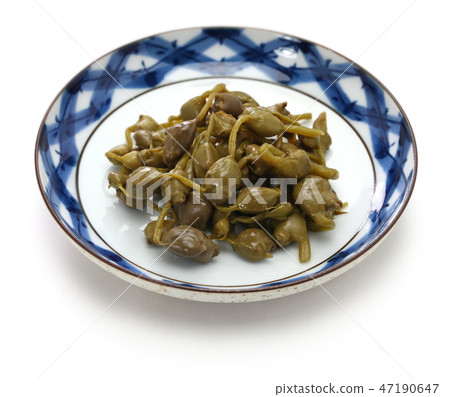 味噌的果實 味噌的果實 47190647