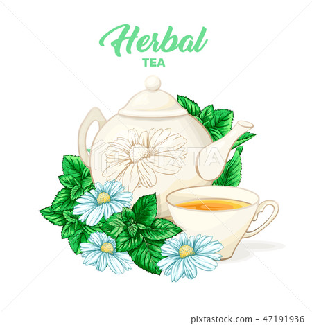 Herbal tea hand drawn color illustration 47191936