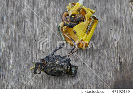Melted-off and burned plastic socket Melted-off and burned plastic socket 47192489