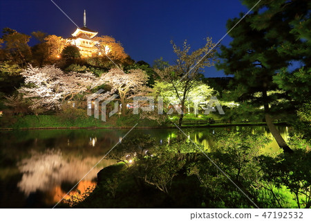 [神奈川縣] Sankeien夜櫻花 47192532